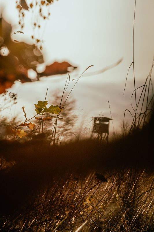 Jägerstand und Eichenlaub by Katrin Markstein