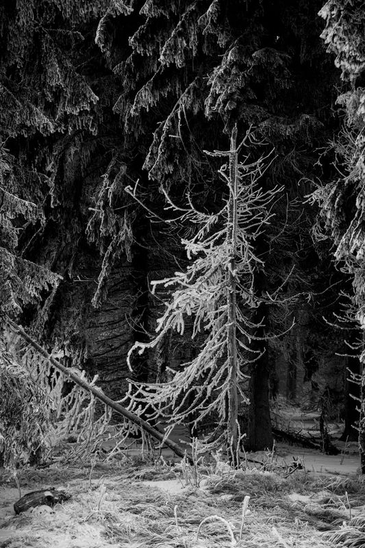 Frost und Kälte by Katrin Markstein