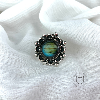 ANILLOS