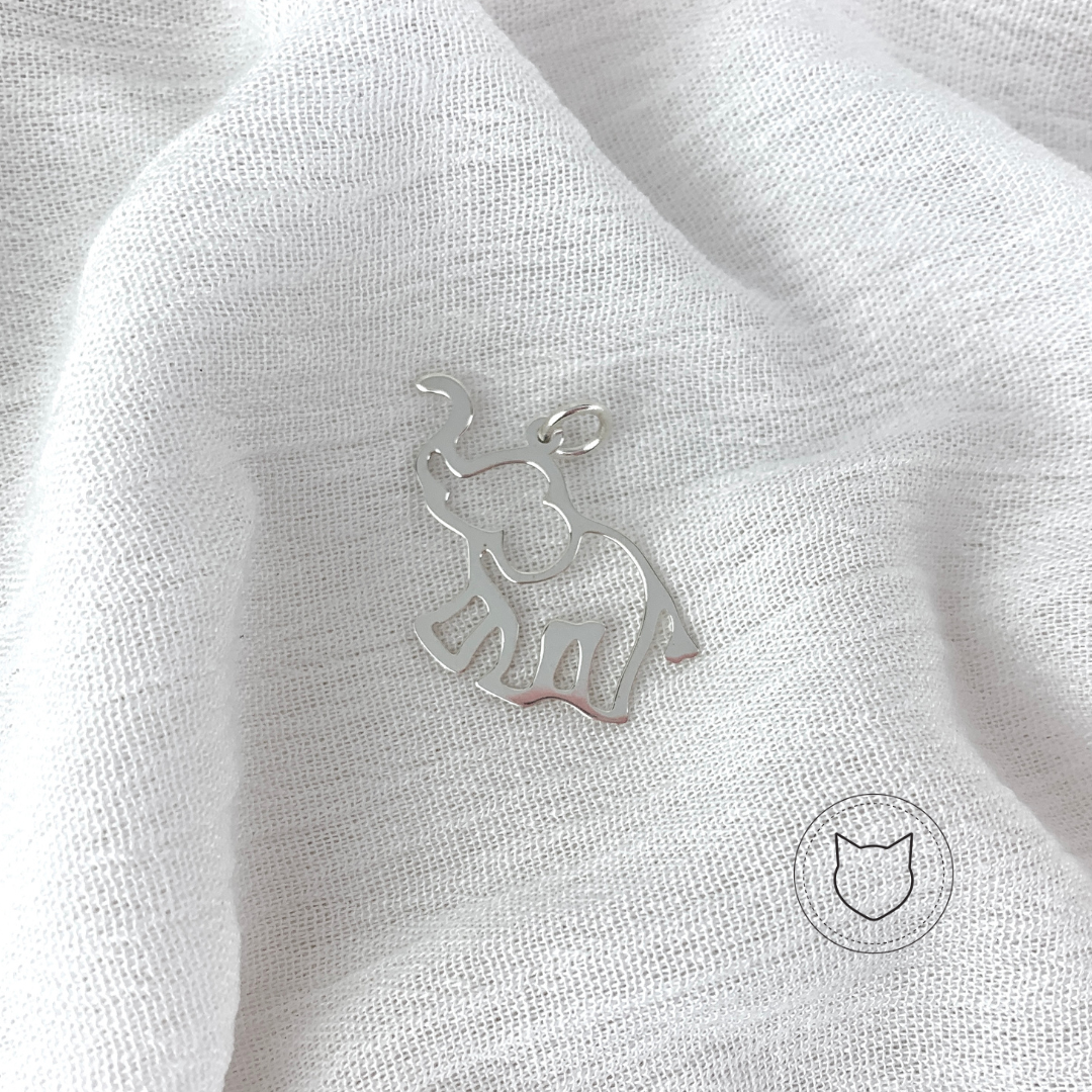 ​DIJE DE PLATA 925 DI0298M40