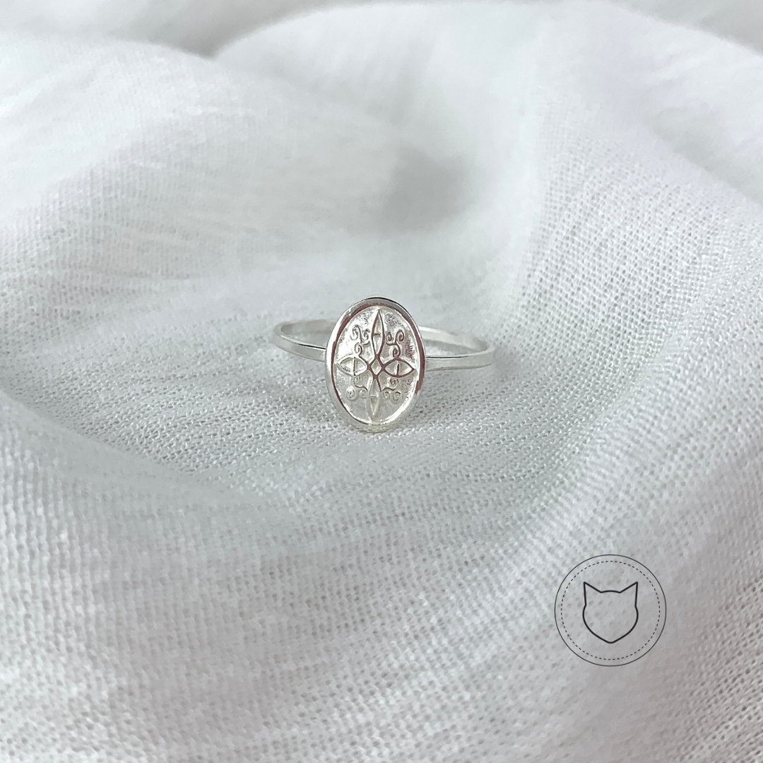 ANILLO DE PLATA 925 TALLA 6 AN2030M61