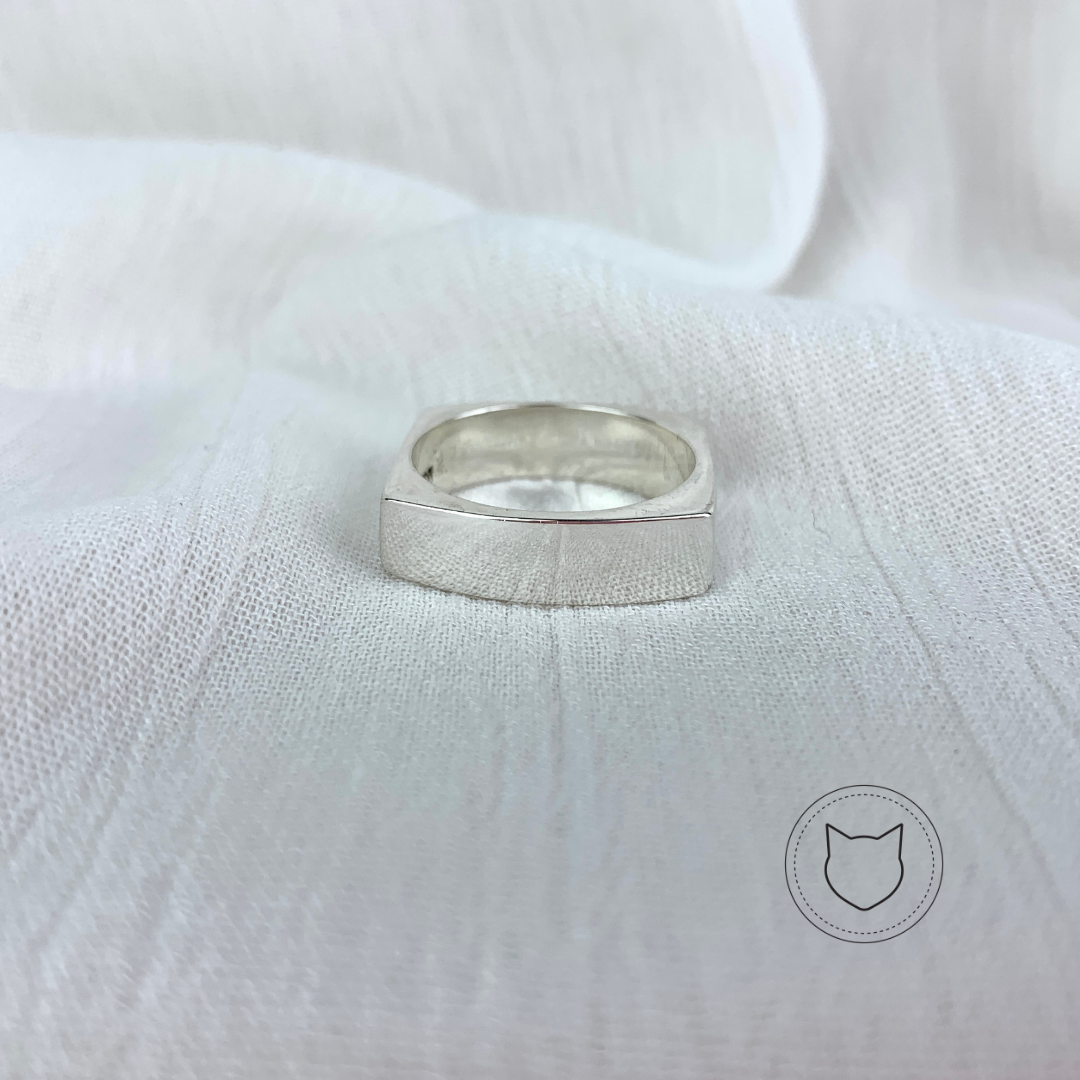 ANILLO DE PLATA 925 TALLA 9 AN1693M40