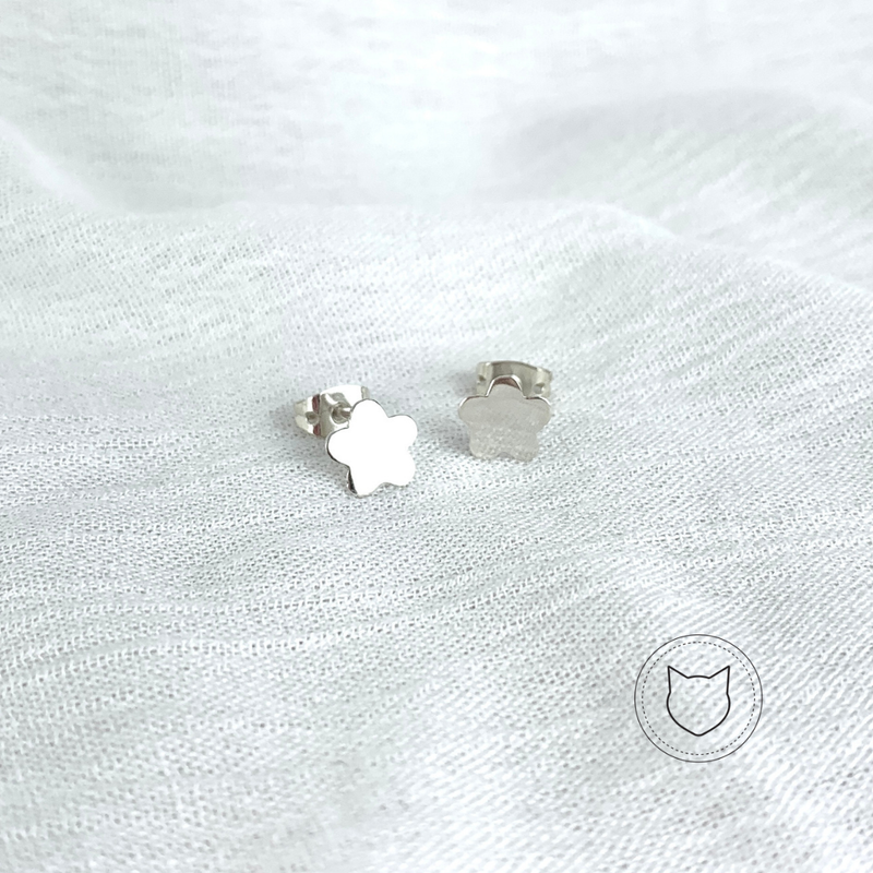 ARETES DE PLATA 925 AR0304M