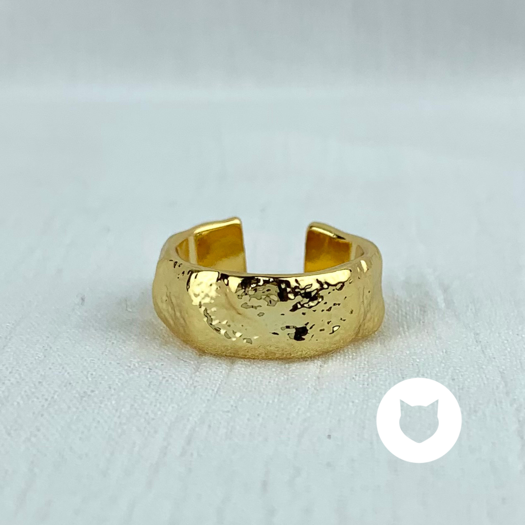 ANILLO DE ACERO INOXIDABLE AN3476G30