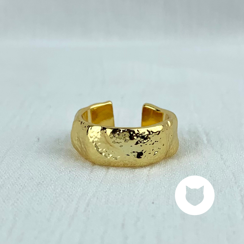 ANILLO DE ACERO INOXIDABLE AN3476G30