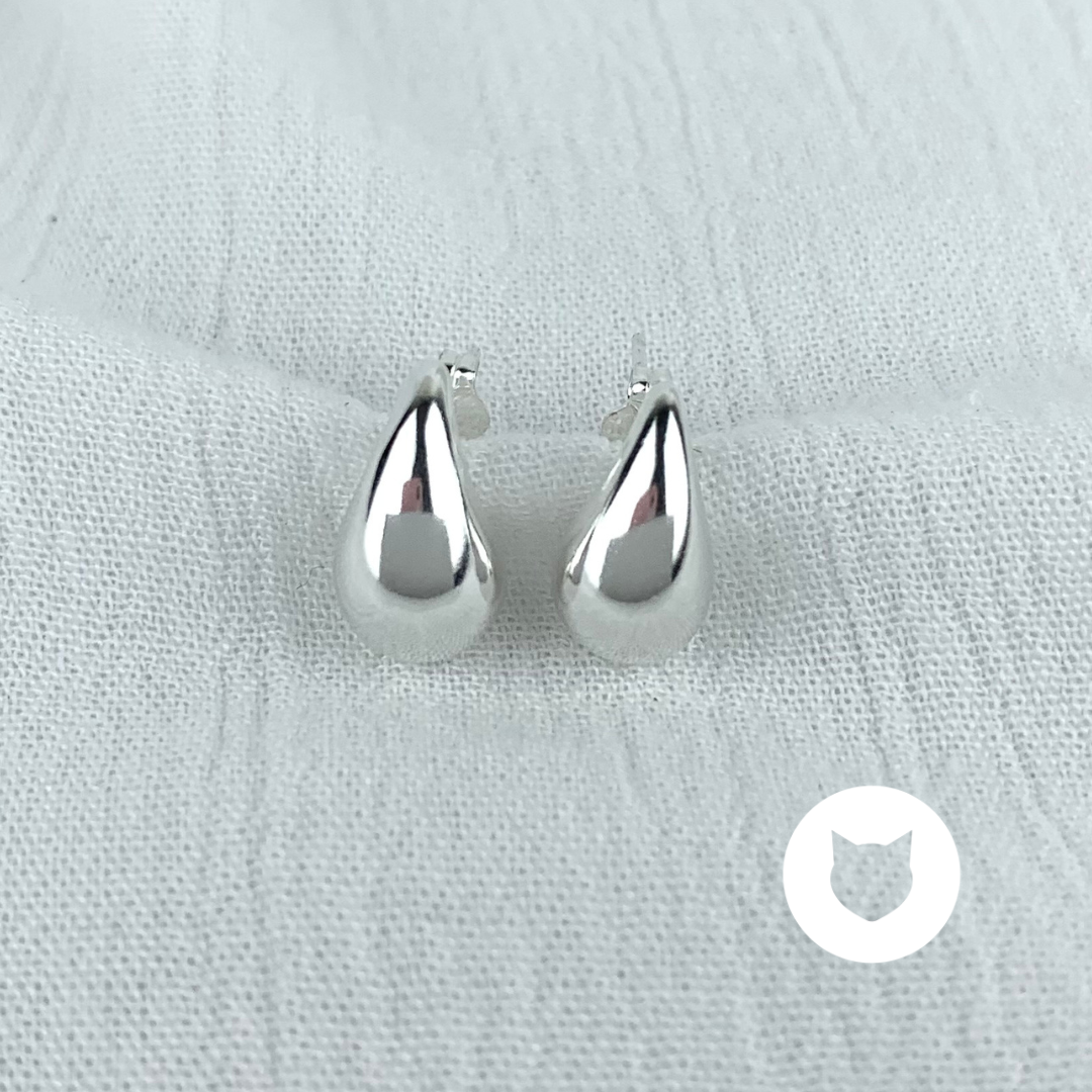ARETES DE PLATA 925 AR2577L20