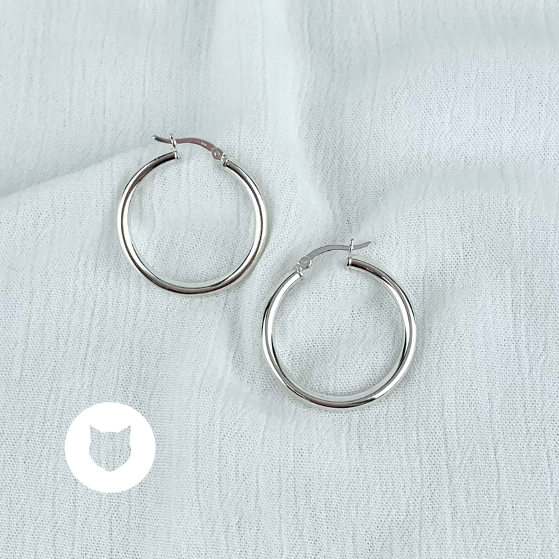 ARGOLLAS DE PLATA 925 AG1532L20