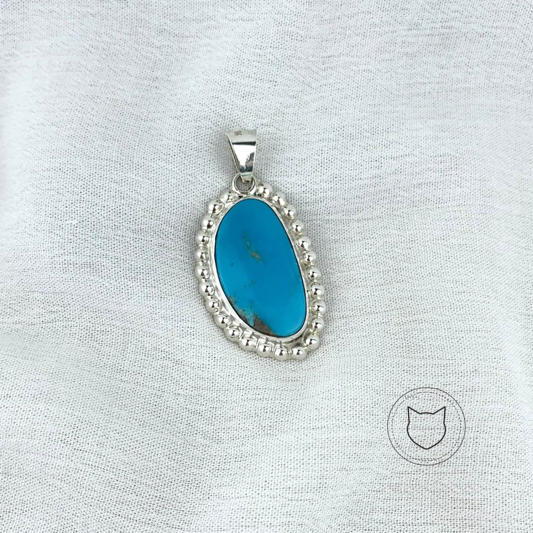 ​DIJE PLATA 925 Y TURQUESA DI0481M39