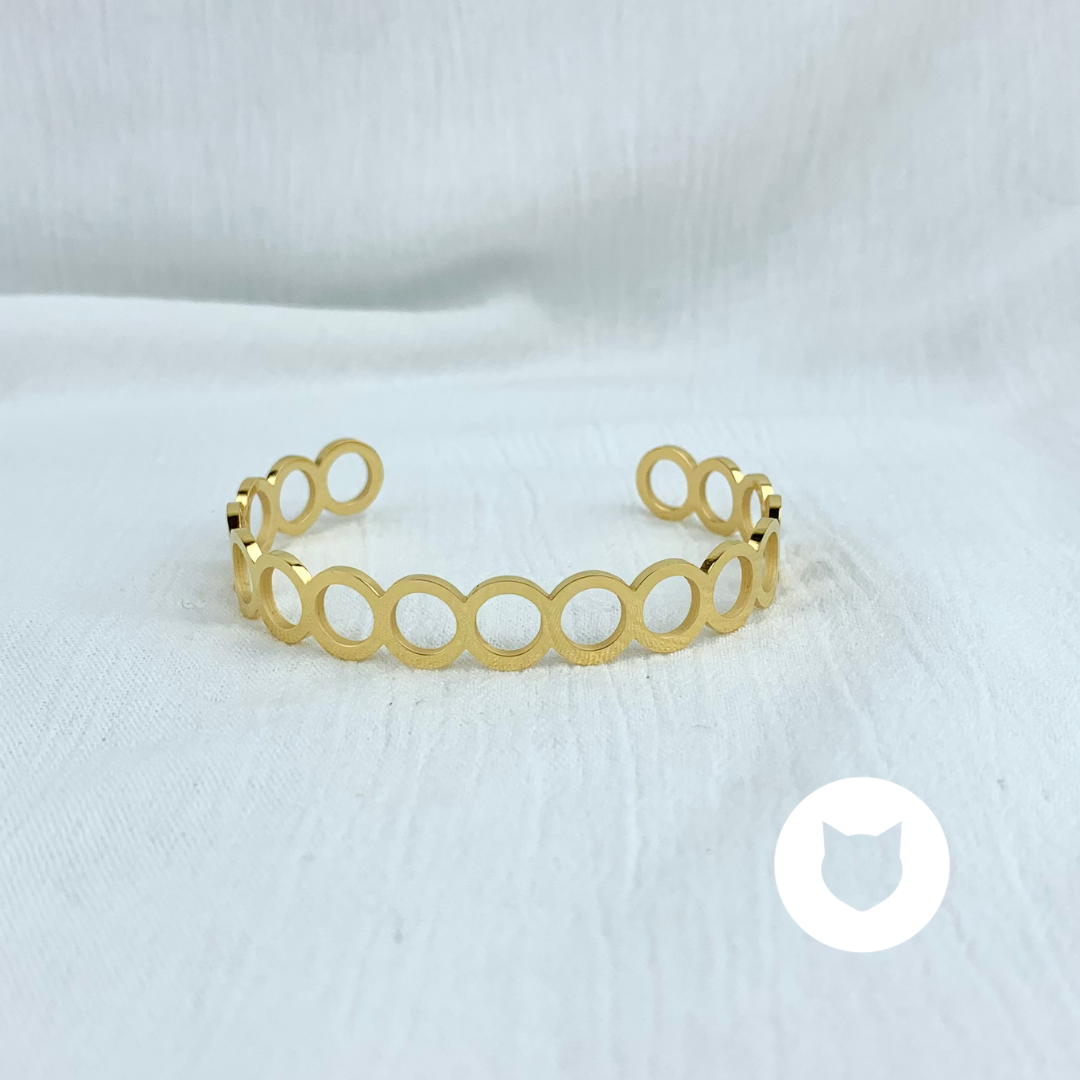 BRAZALETE DE ACERO INOXIDABLE  PU1679G30
