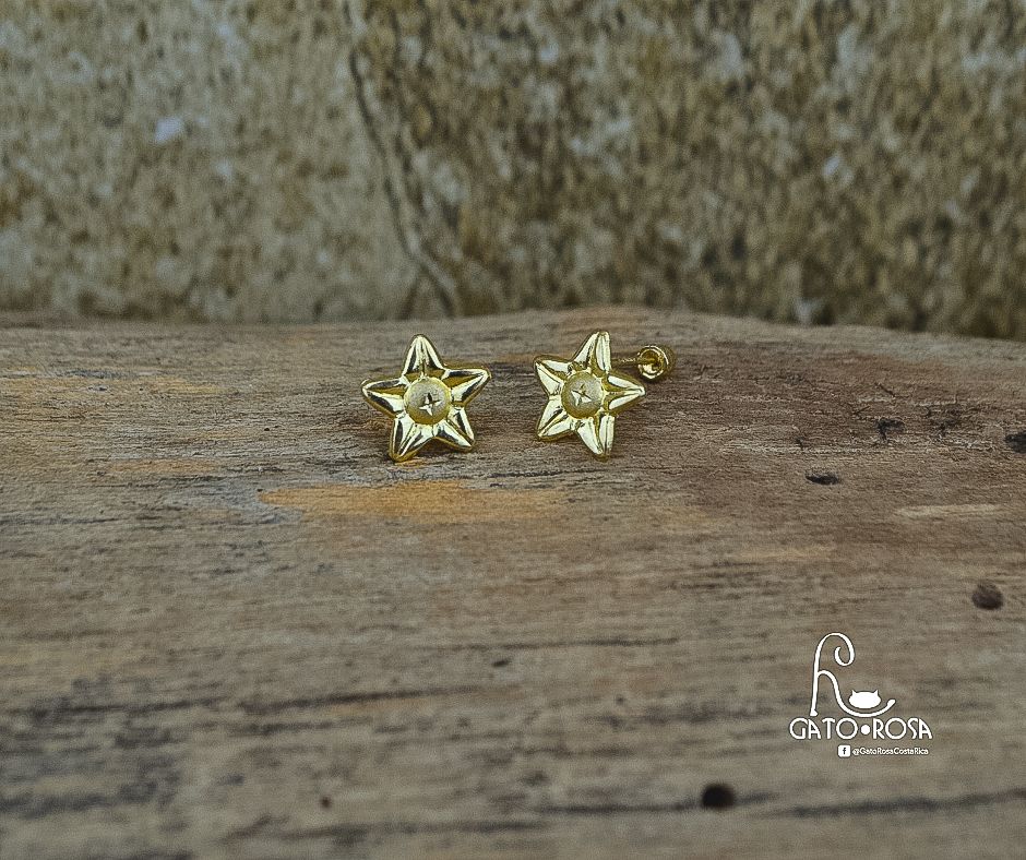 ARETES DE ORO DE 10 KILATES AR0360M