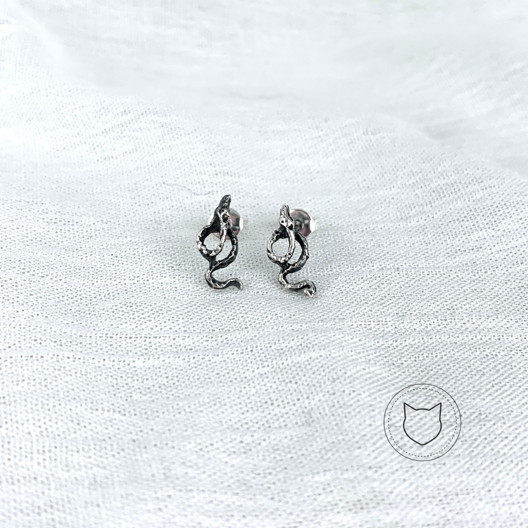 ​ARETES DE PLATA 925 AR1172M43