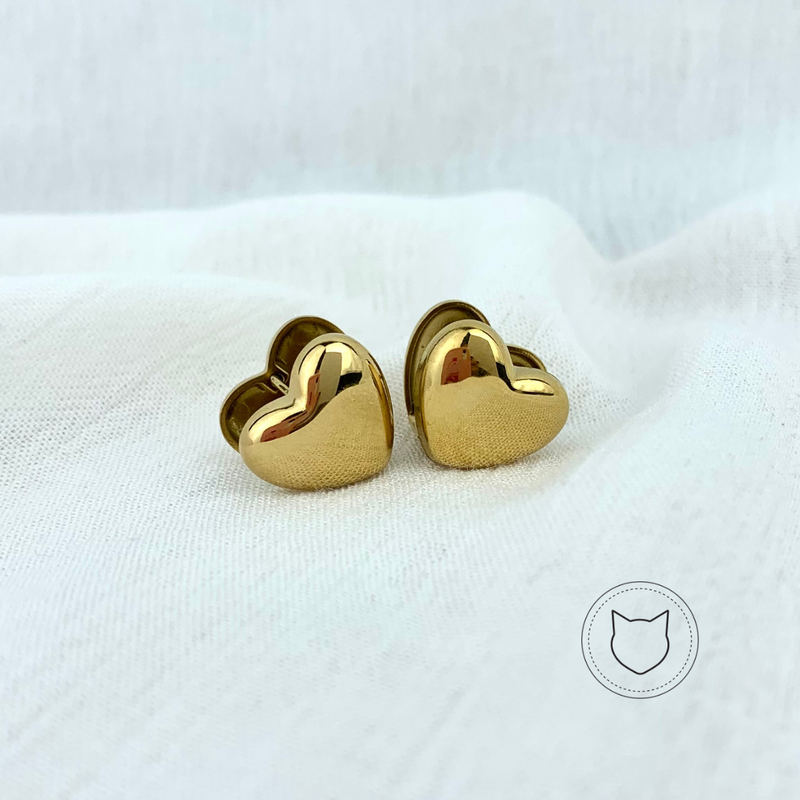 ​ARGOLLAS DE ACERO INOXIDABLE CORAZÓN AG1134G30