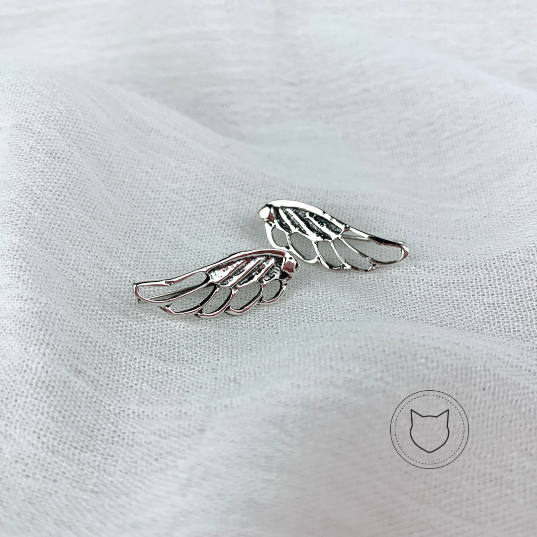 ARETES TREPADORES DE PLATA 925 AR1564M36