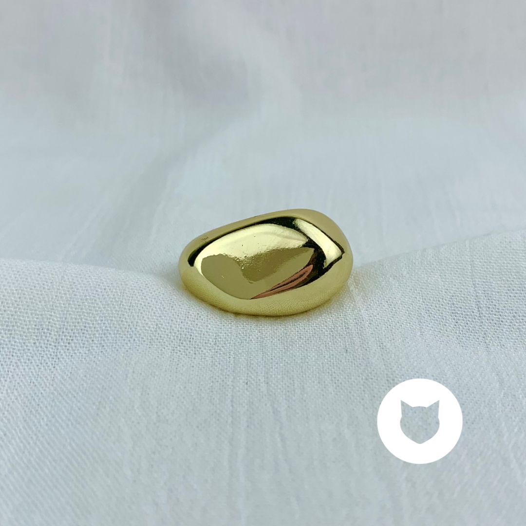 ANILLO DE ACERO INOXIDABLE AN3394G42