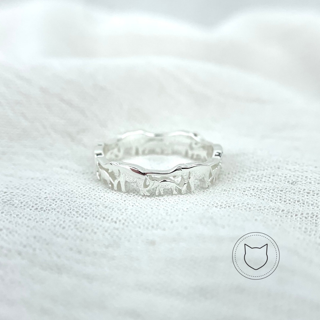 ANILLO DE PLATA 925 AN2917L25