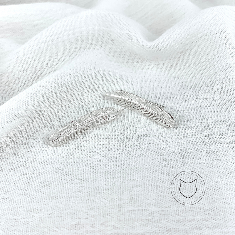 ARETES TREPADORES DE PLATA 925 AR1167M39