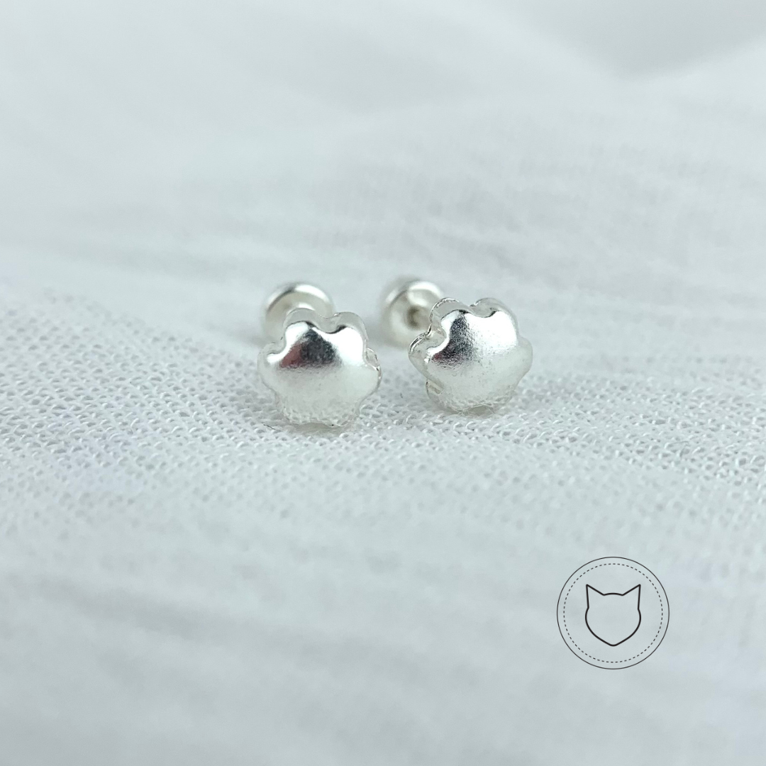 ARETES DE PLATA 925 AB0371L25