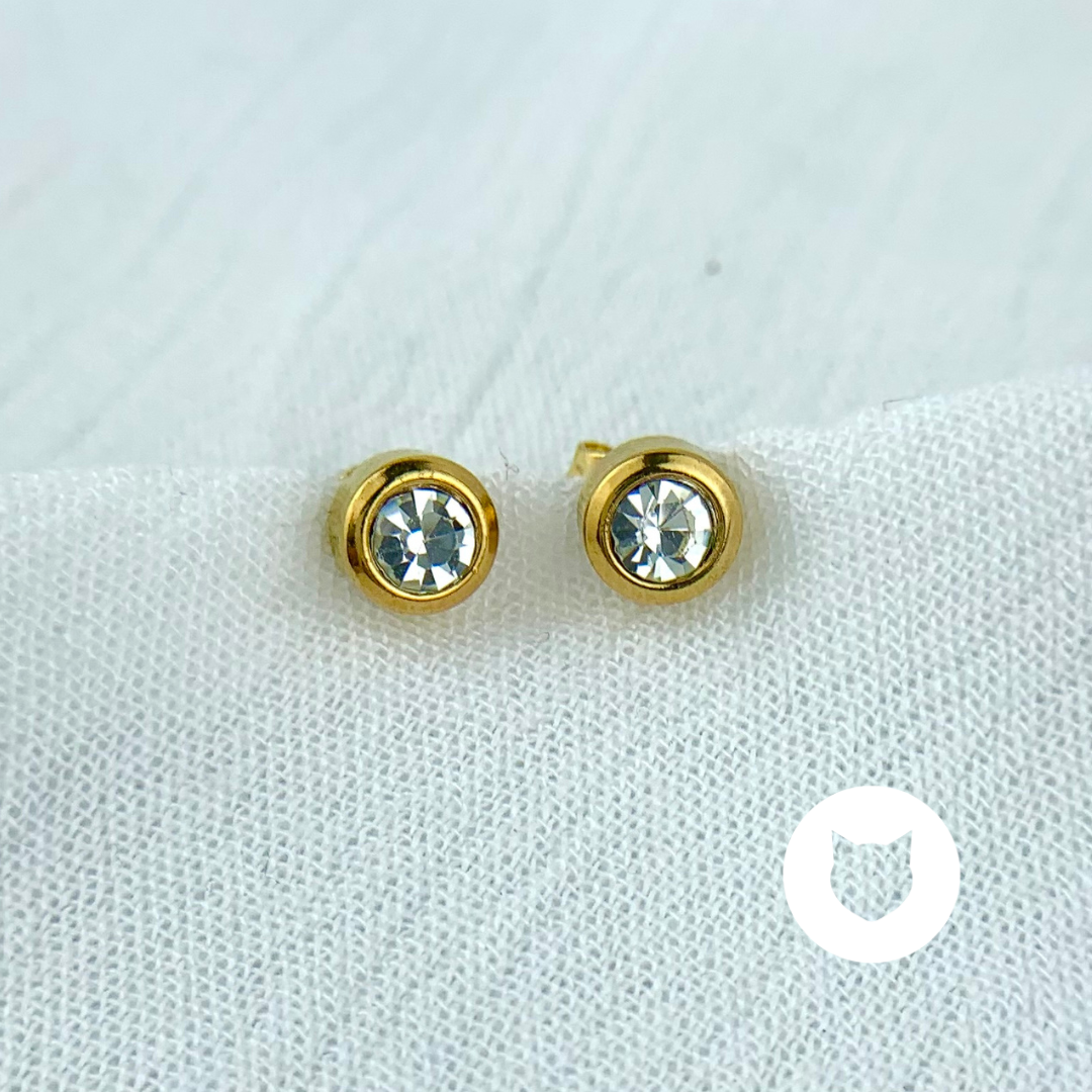 ARETES DE ACERO INOXIDABLE Y CRISTAL  AR2615G70