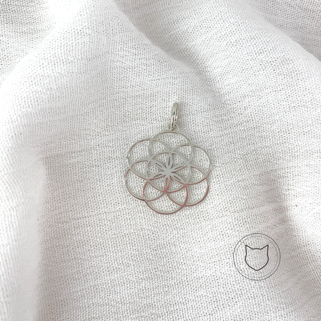 ​DIJE DE PLATA 925 DI0366M37