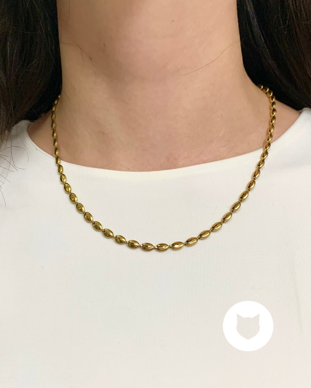 COLLAR DE ACERO INOXIDABLE CO1689G34