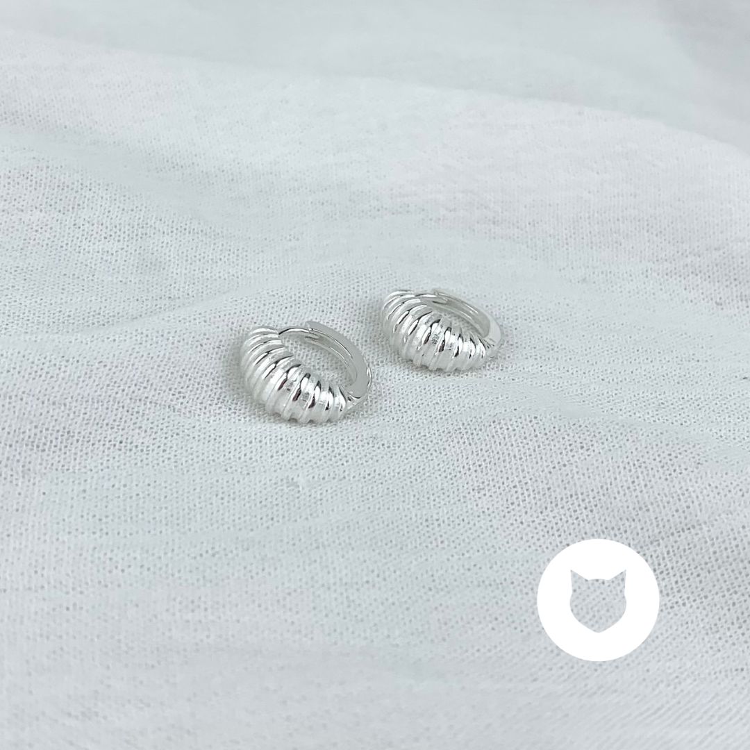 ARGOLLAS DE PLATA 925 AG1444L22