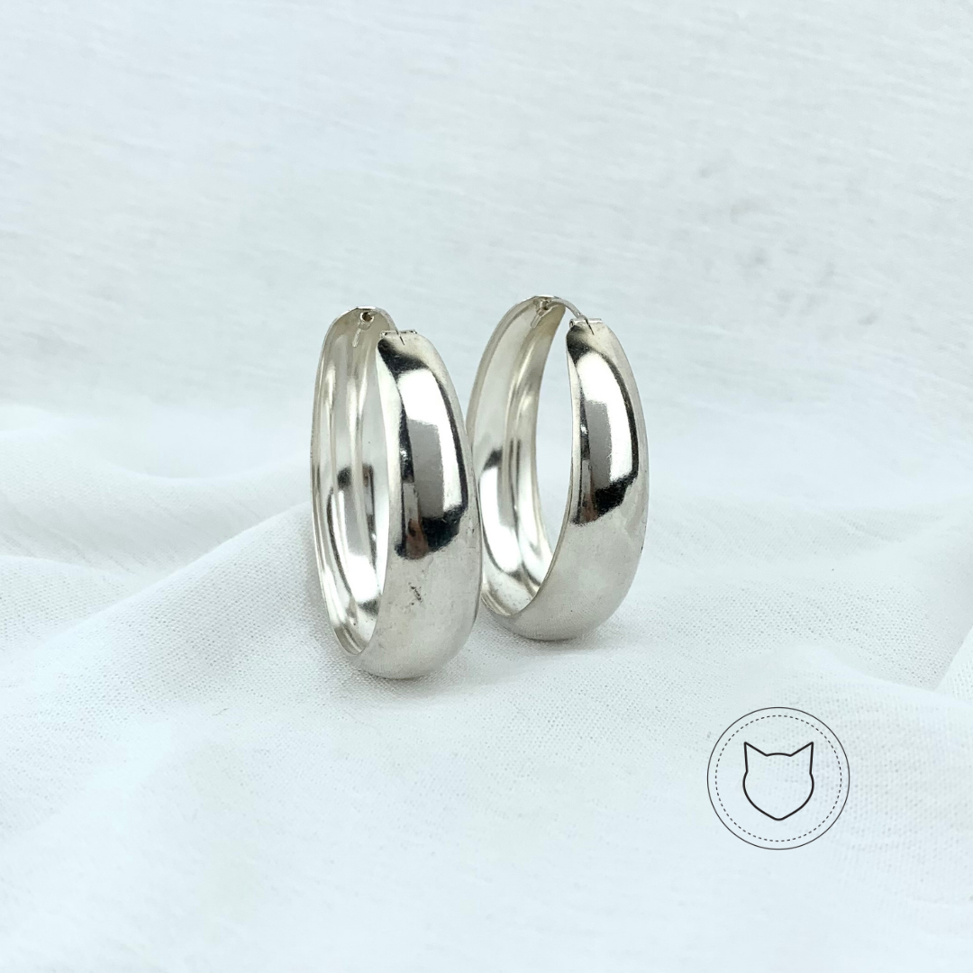 ​ARGOLLAS DE PLATA 925 AG1167L20