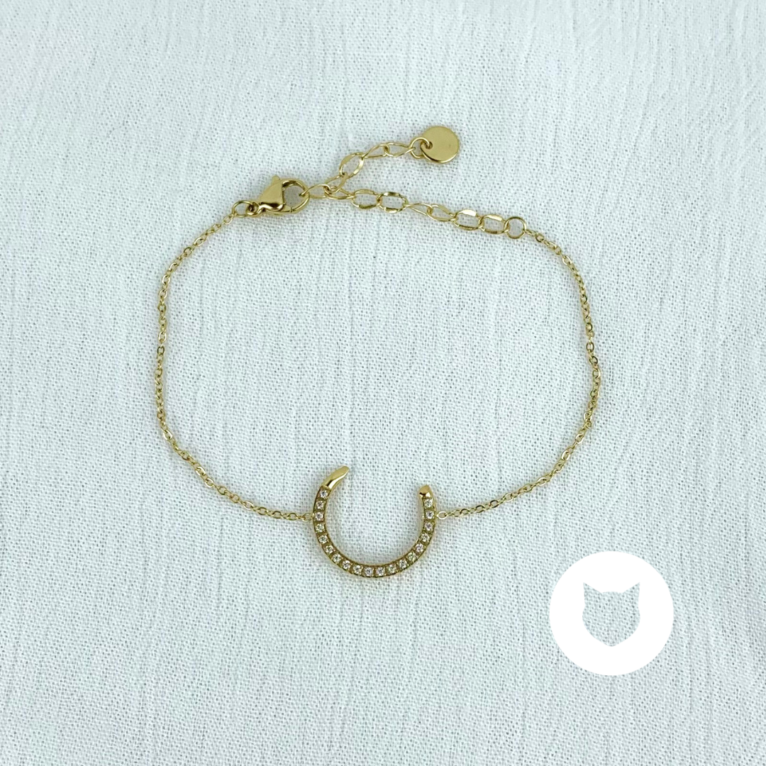 PULSERA DE ACERO INOXIDABLE Y CRISTALES PU1686G30