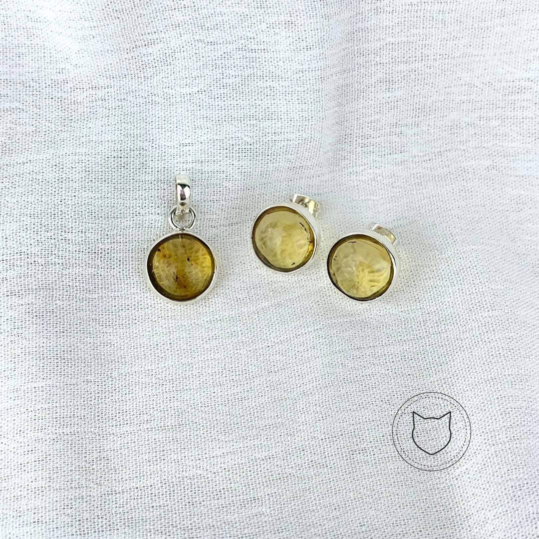 SET DE PLATA 925 Y ÁMBAR SE0522M