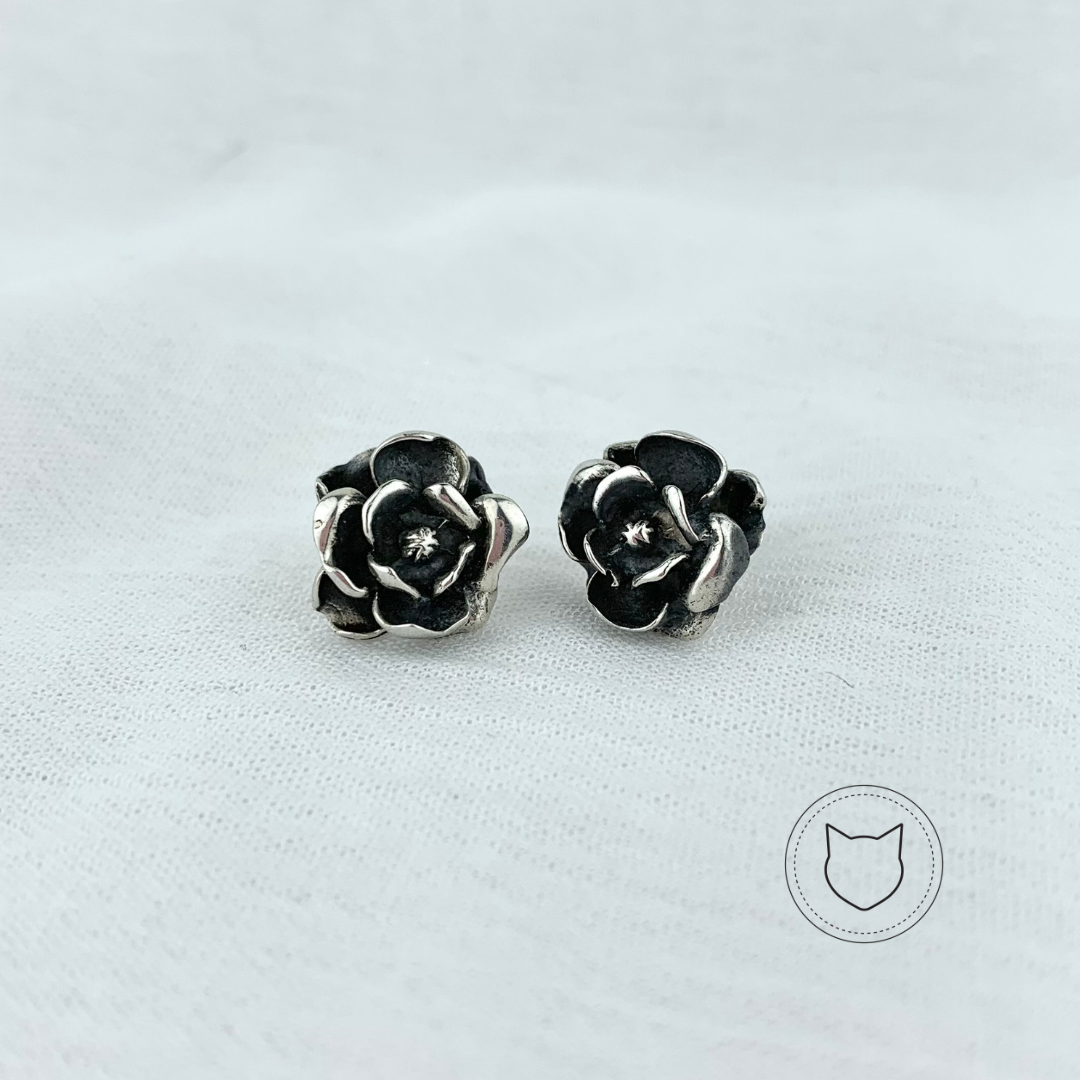 ARETES DE PLATA 925 AR2113M24