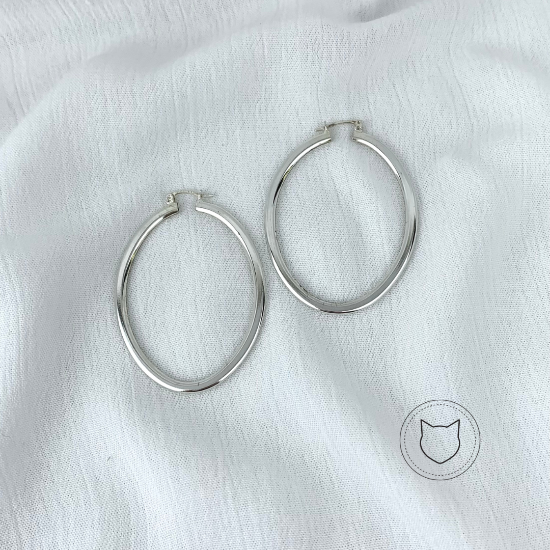 ​ARGOLLAS DE PLATA 925 AG1059L20