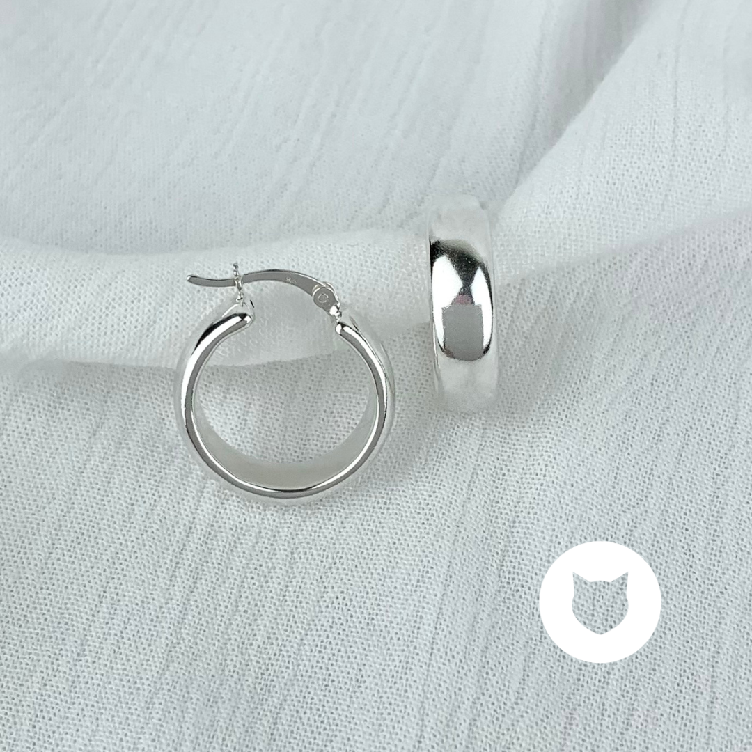 ARGOLLAS DE PLATA 925 AG1534L20