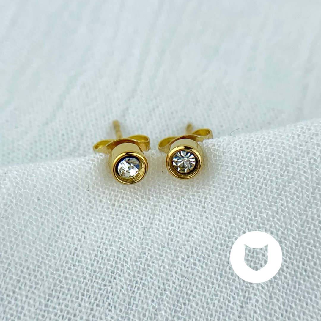 ARETES DE ACERO INOXIDABLE Y CRISTAL  AR2616G50