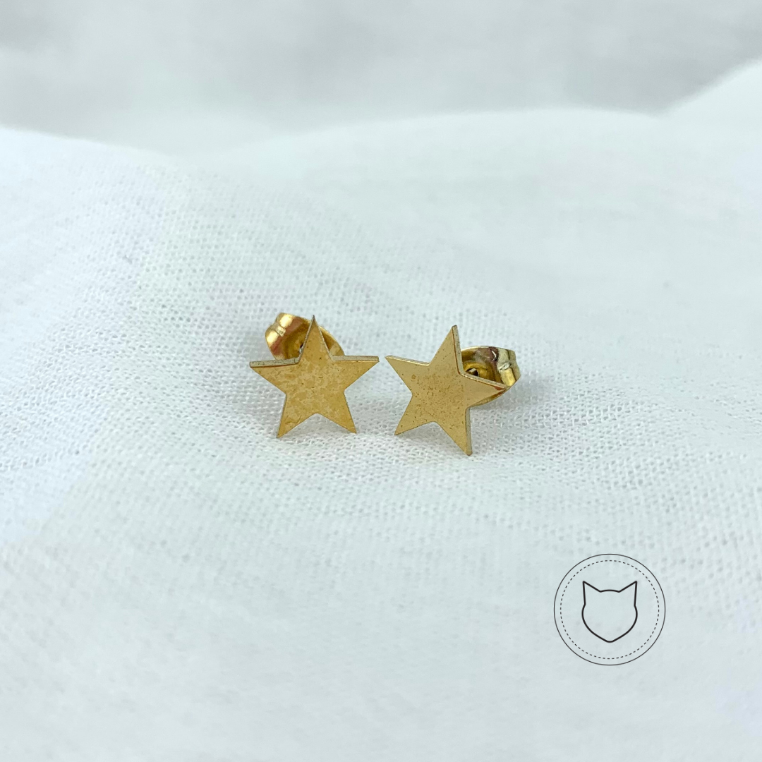 ARETES DE ACERO INOXIDABLE AR2161G30