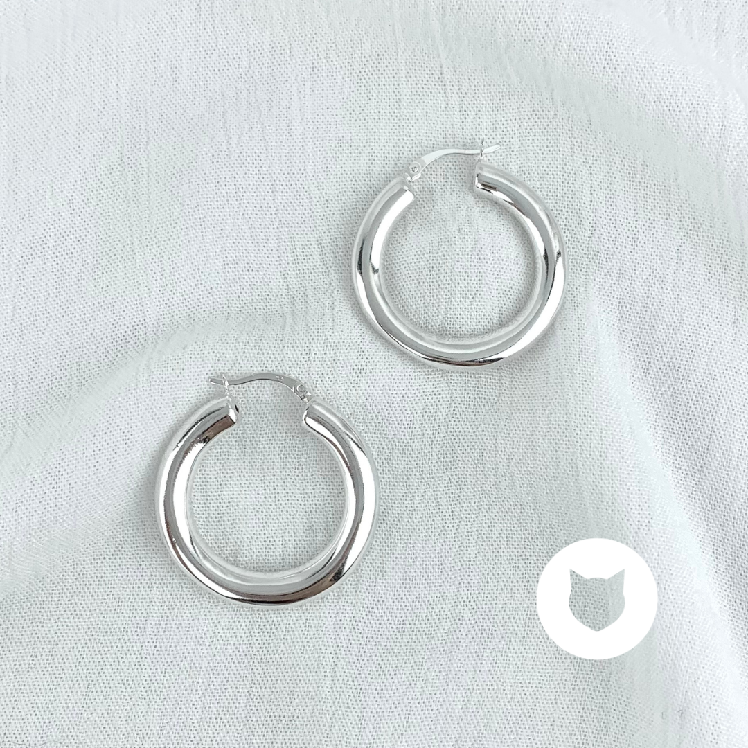 ARGOLLAS DE PLATA 925 AG1581L22