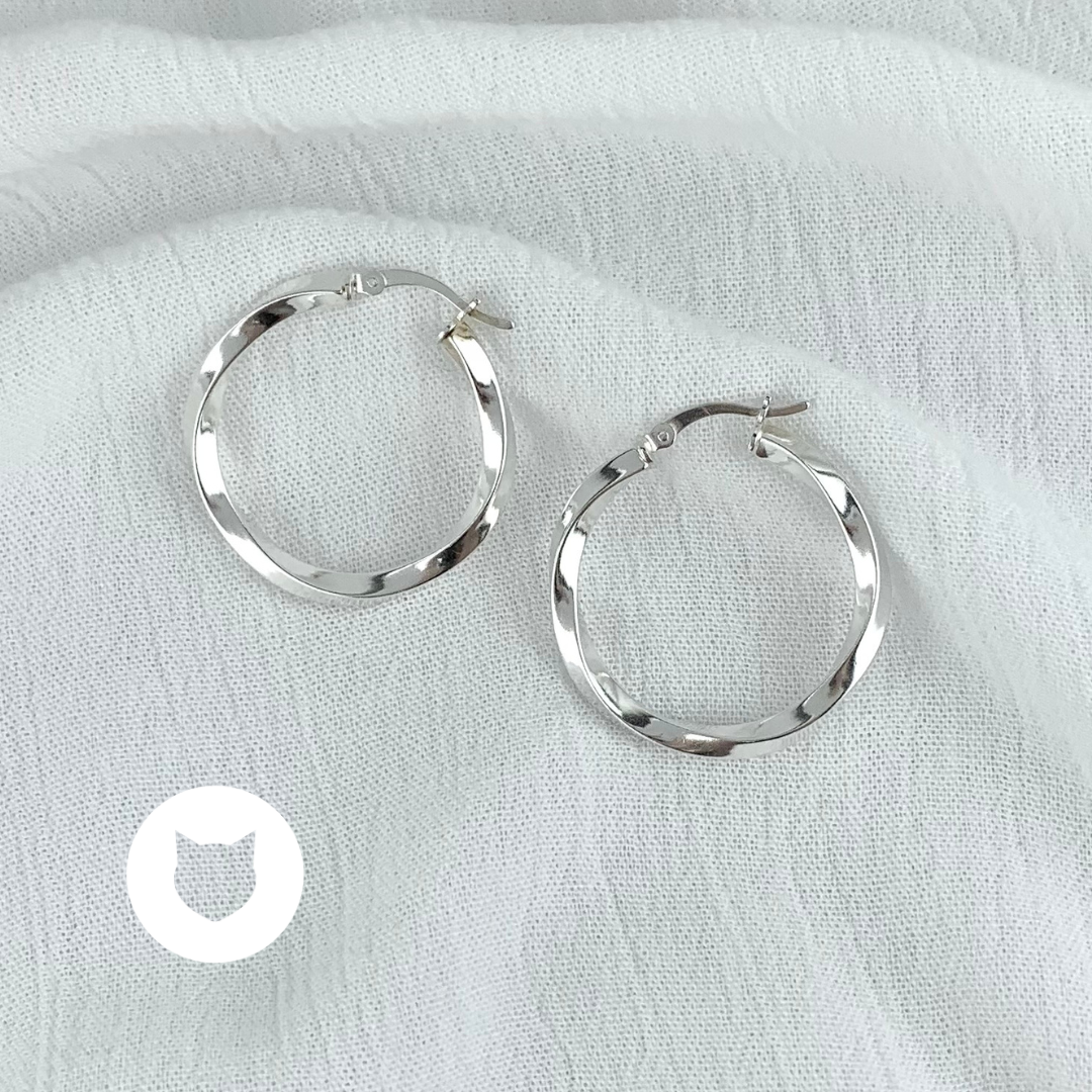 ARGOLLAS DE PLATA 925 AG1582L22