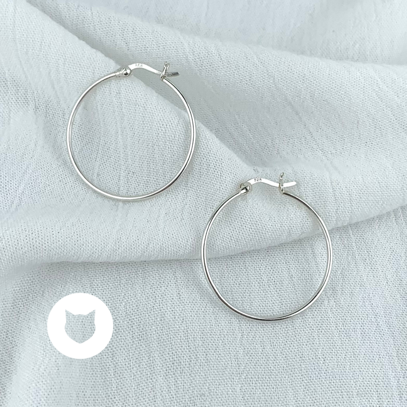 ARGOLLAS DE PLATA 925 AG1587L22