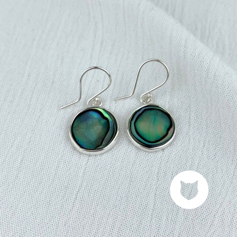 ​​ARETES DE PLATA 925 Y ABULÓN AR2662M40