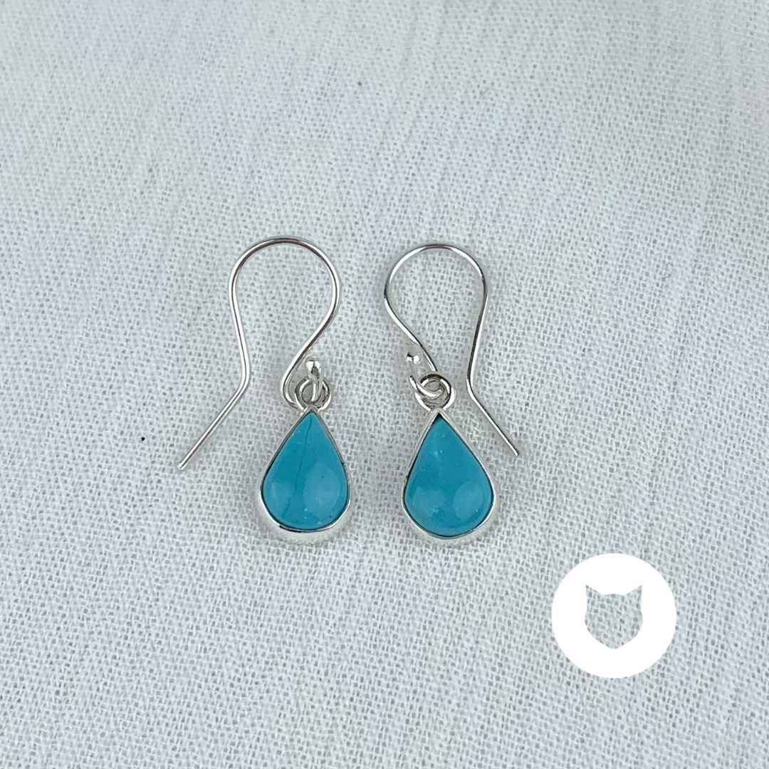 ​​ARETES DE PLATA 925 Y TURQUESA AR2667M40