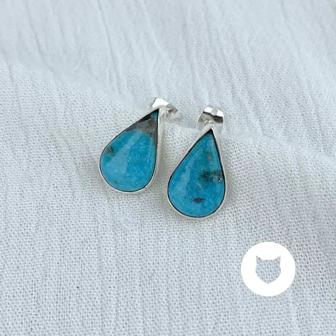 ​​​ARETES DE PLATA 925 Y TURQUESA AR2671M40