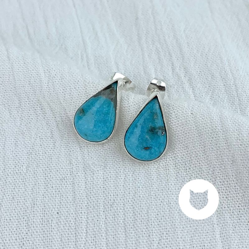 ​​​ARETES DE PLATA 925 Y TURQUESA AR2671M40