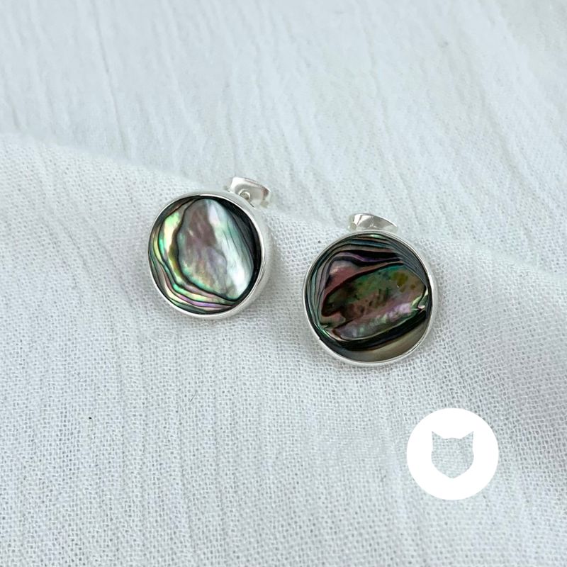 ​​​ARETES DE PLATA 925 Y ABULÓN AR2670M40