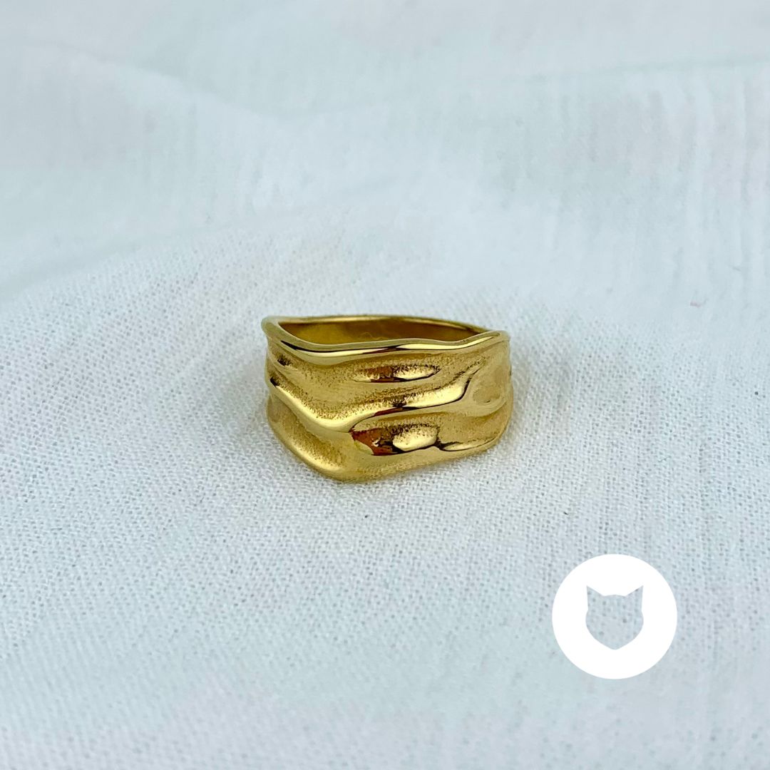 ANILLO DE ACERO INOXIDABLE AN3580G30