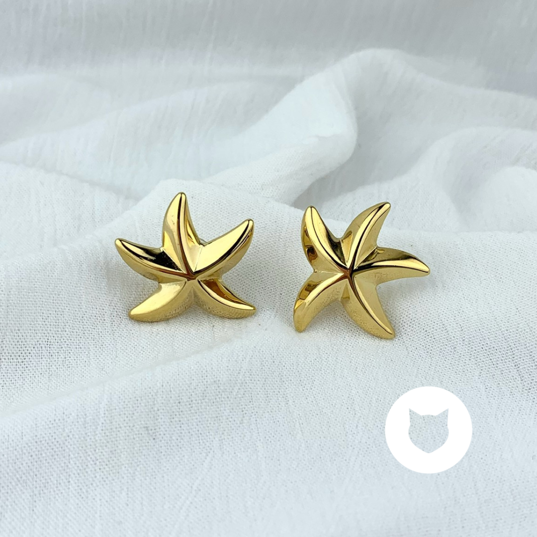 ARETES DE ACERO INOXIDABLE ESTRELLA DE MAR AR2725G31