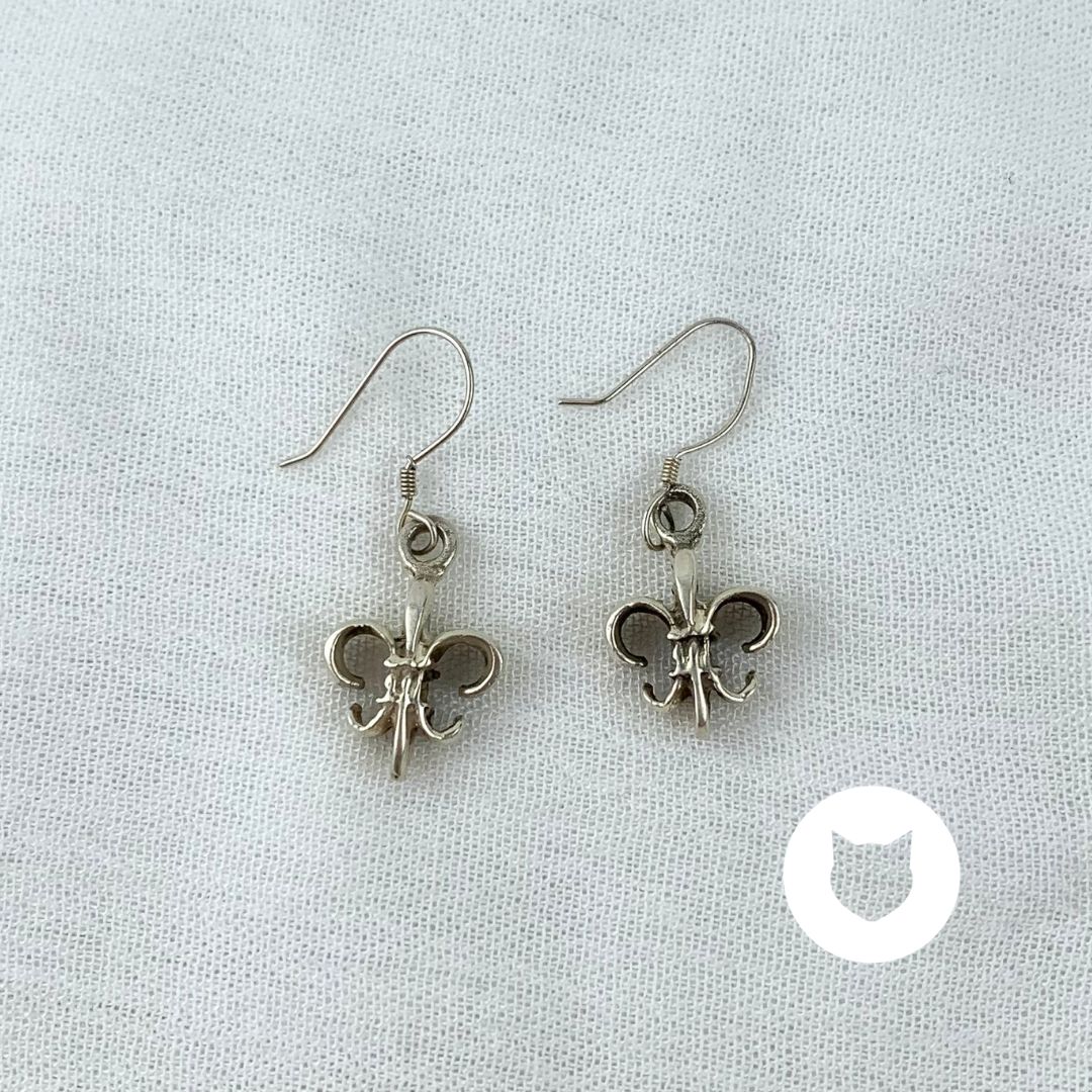 ARETES DE PLATA 925 AR2734M30