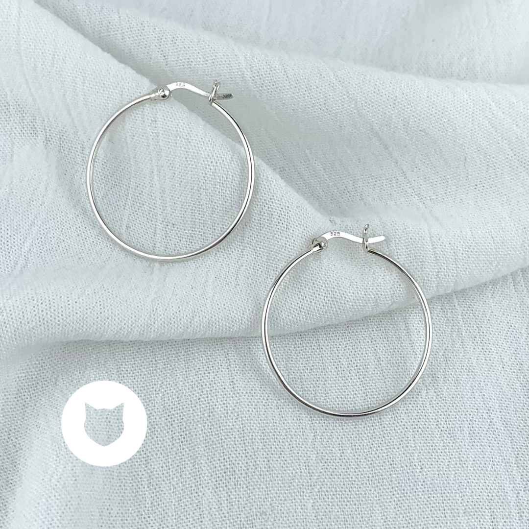 ARGOLLAS DE PLATA 925 AG1625L22