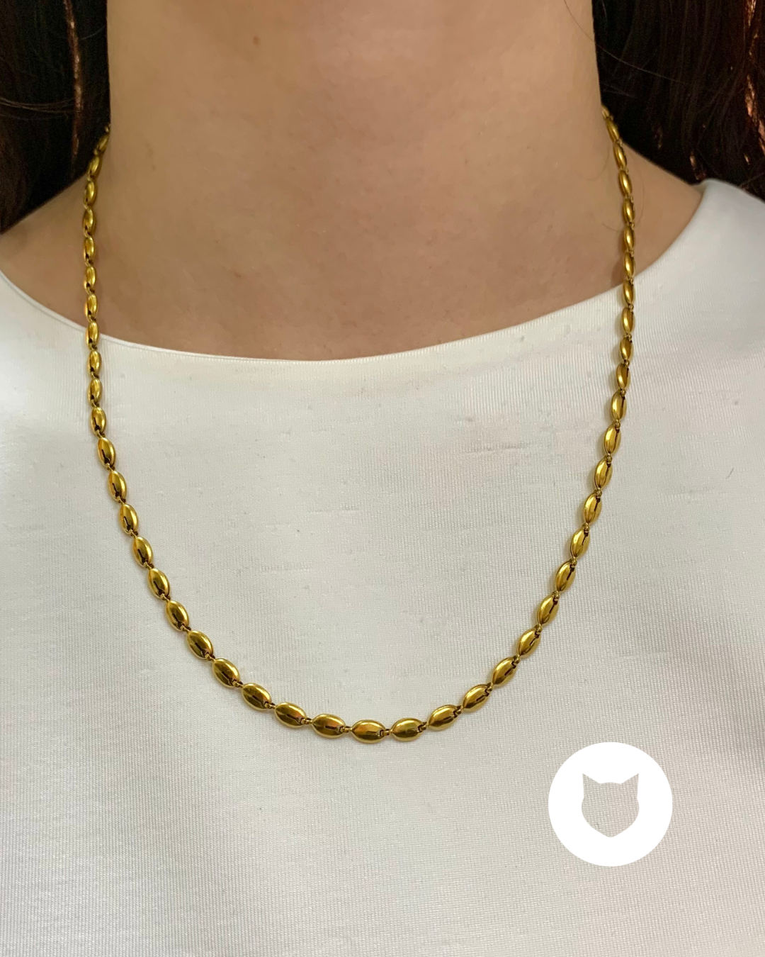 COLLAR DE ACERO INOXIDABLE CO1791G34