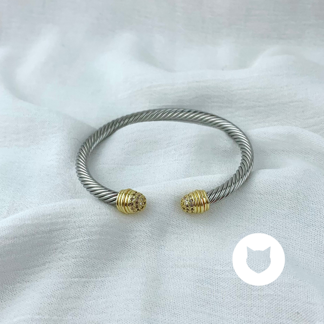 BRAZALETE DE ACERO INOXIDABLE METALES MIXTOS PU1777G51