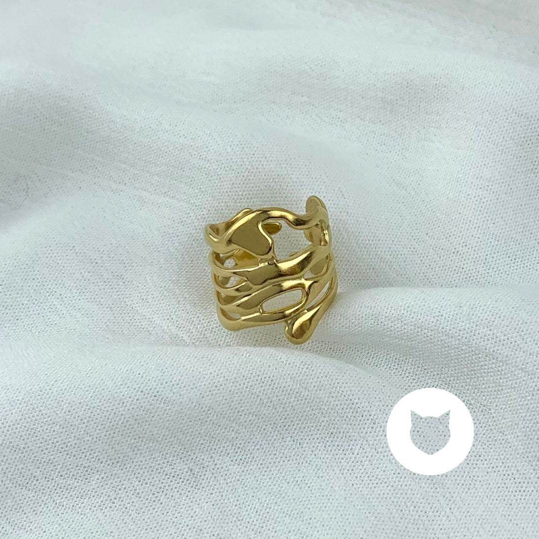 ANILLO DE ACERO INOXIDABLE AN3645G68