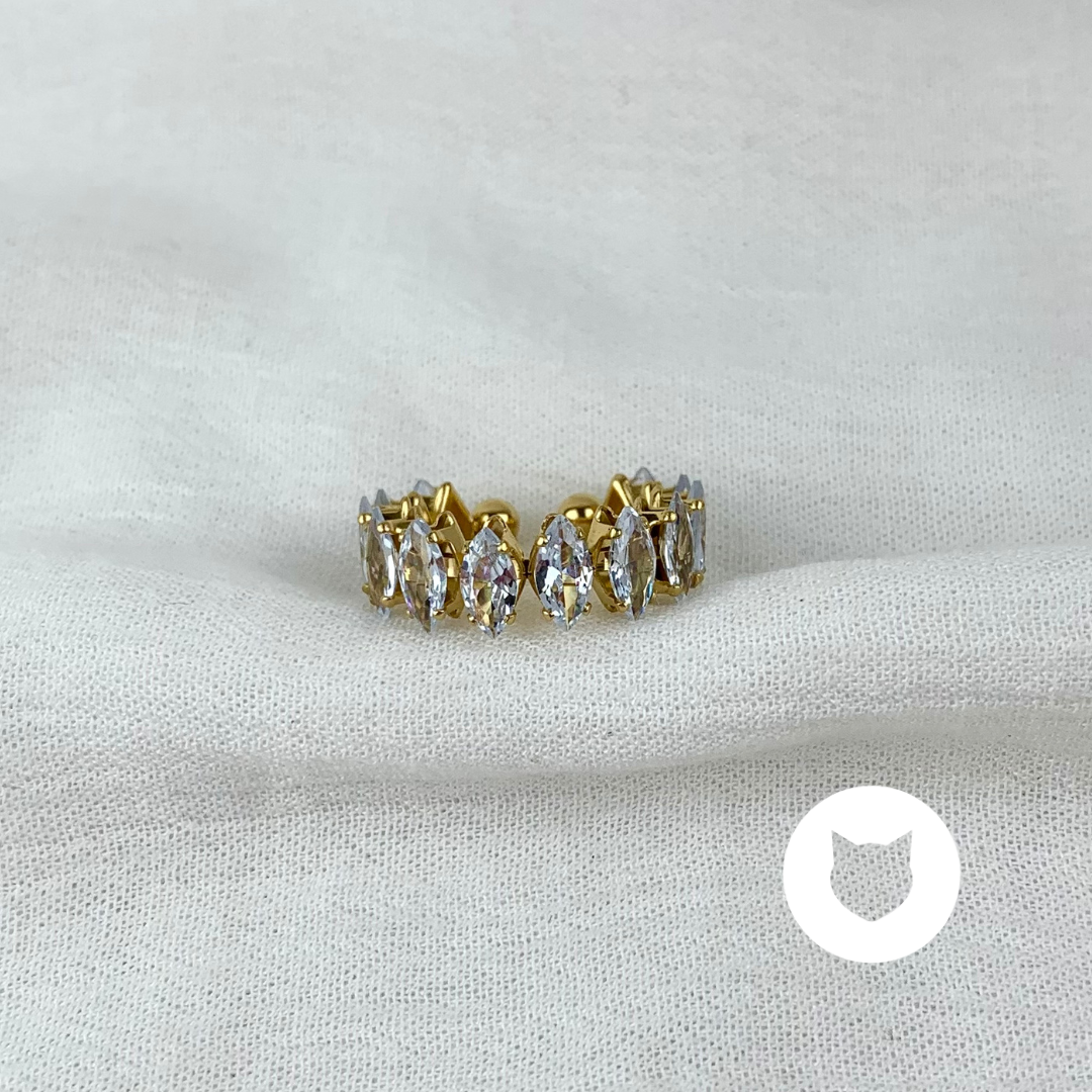 ​ANILLO DE ACERO INOXIDABLE Y CRISTALES AN3656G86
