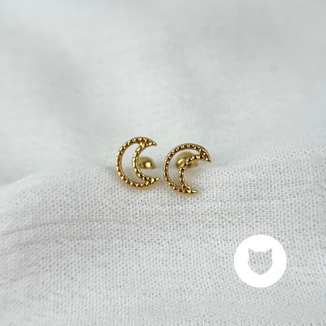 ARETES DE ACERO INOXIDABLE LUNA AB0505G72